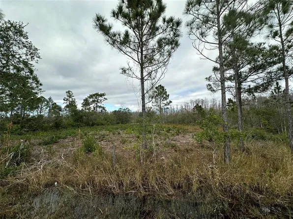 9395 Helena Dr #171, Saint Cloud, FL 34773