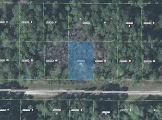 428 Redwood Blvd, Georgetown, FL 32139