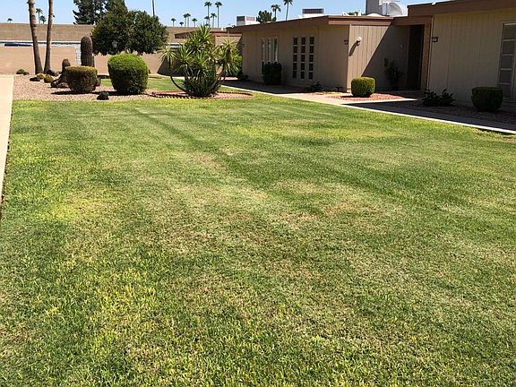 4th image of 10916 W Coggins Dr