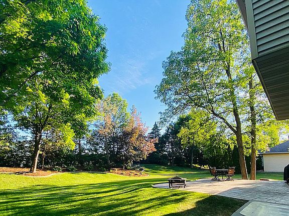 Large Wooded Back yard