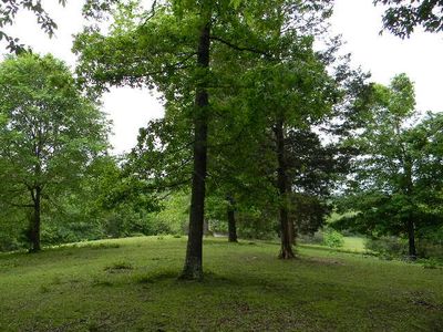 2310 Poplar Grove Rd, Mc Ewen, TN, 37101