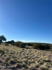 31 Mesquite Dr, Concho, AZ, 85924