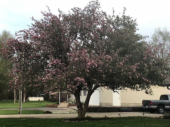 2nd image of 3505 E County Road 350 N