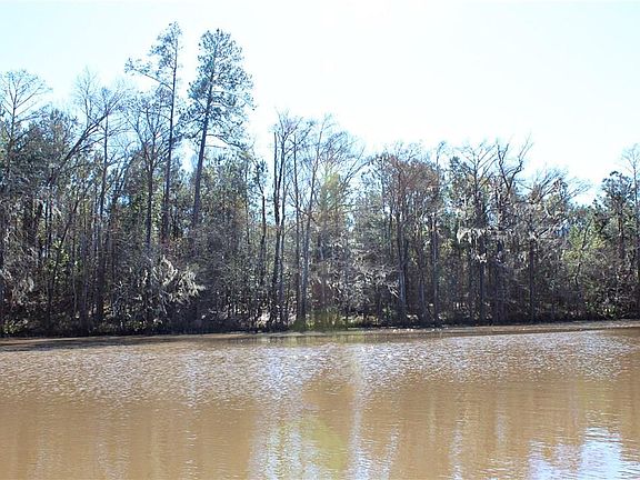 5th image of 4414 Cypress Lake Dr