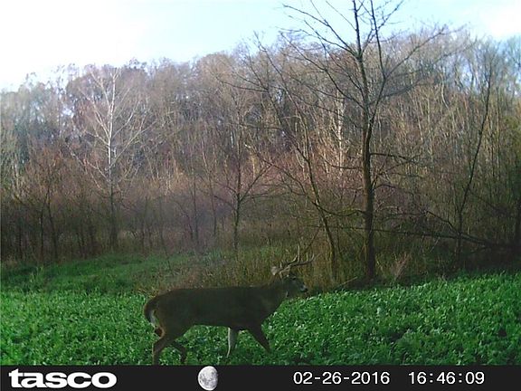2nd image of 21101 E County Road 1700n