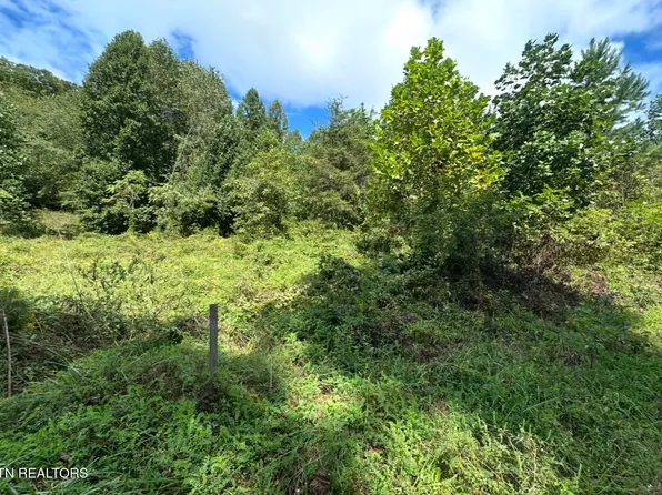 Hubbard Springs Rd, Jonesville, VA 24263