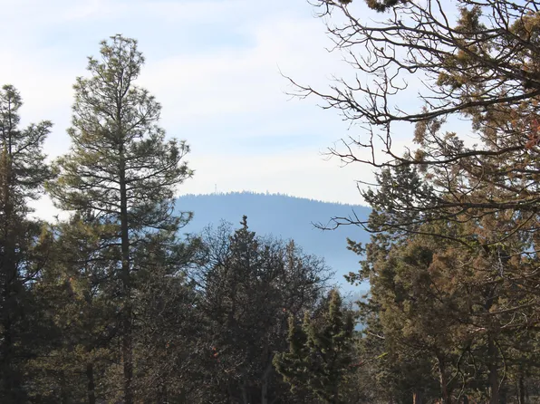 LOT 533 Dowitcher Rd, Klamath Falls, OR 97601