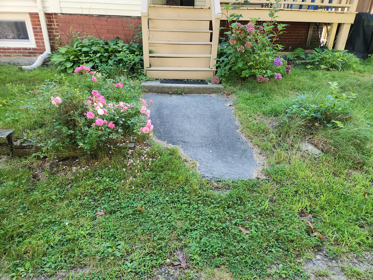 261 Elm St — Photo 2