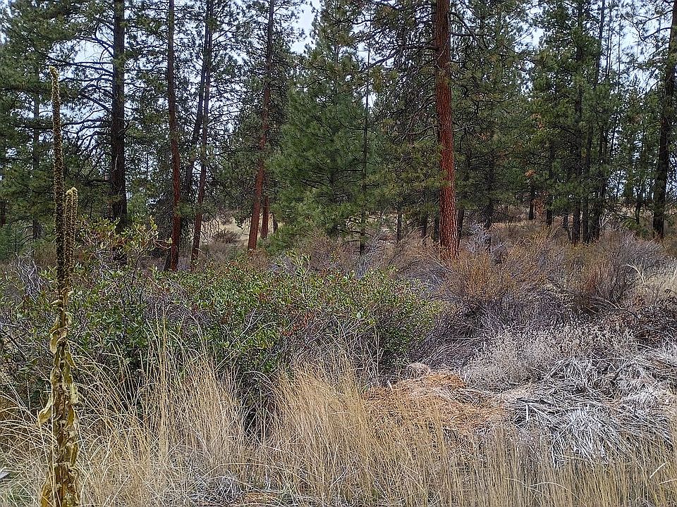 2nd image of 0 E Pine Ave