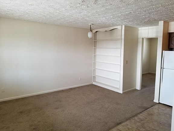 Living Room/ Kitchen Area