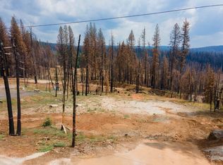 7223 Capps Crossing Rd, Grizzly Flats, CA 95636