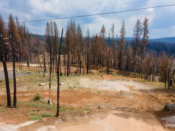 7223 Capps Crossing Rd, Grizzly Flats, CA 95636