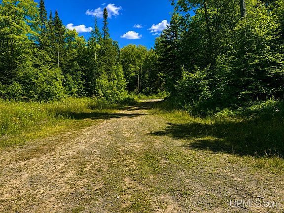 5th image of 42065 Heikkinen School Rd