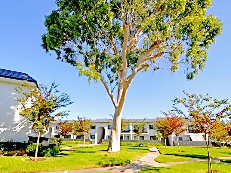 Westgate Apartments in Linda Vista — Photo 21