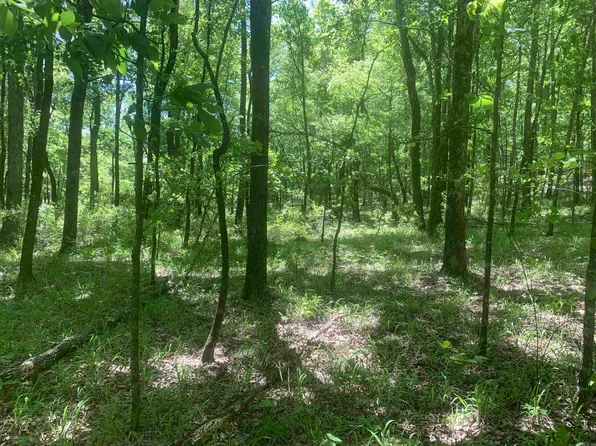 (undisclosed Address), Pangburn, AR 72121