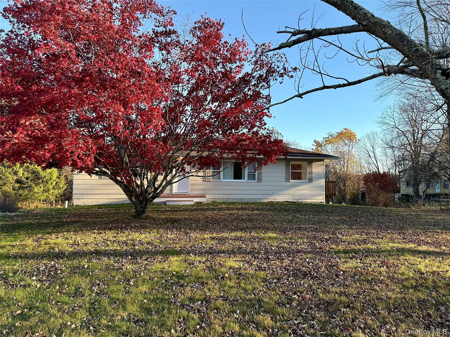 3 bed, $2,600 — Photo 3