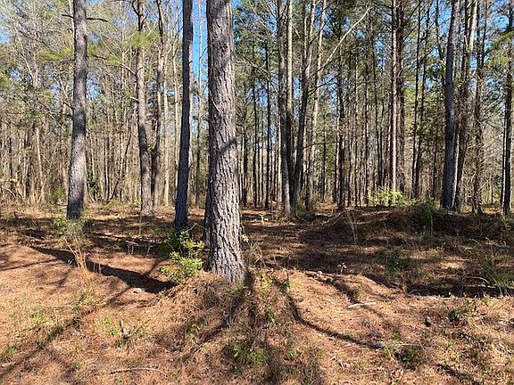 5th image of LOT 2C Grand National Pkwy