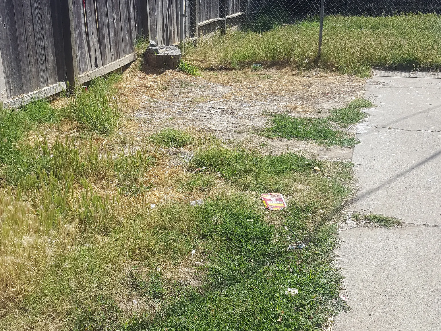 2 bed, 650 sqft, $1,325 — Photo 3