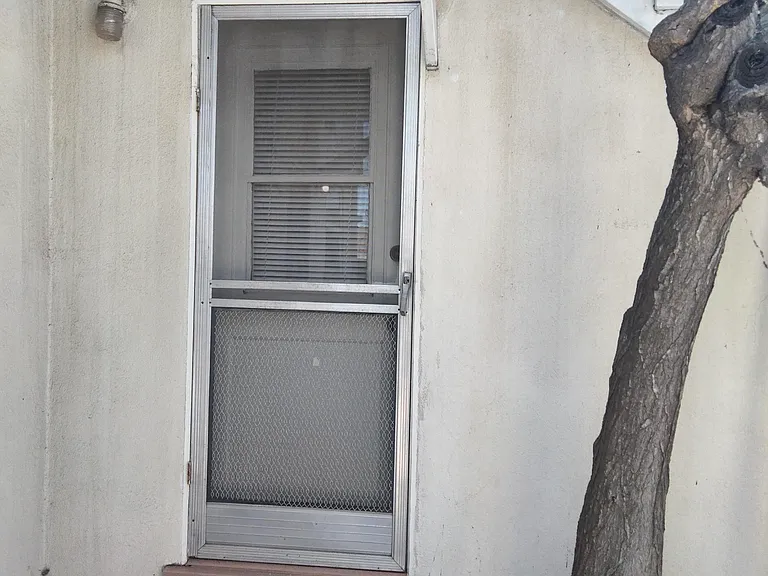 Rear Door
