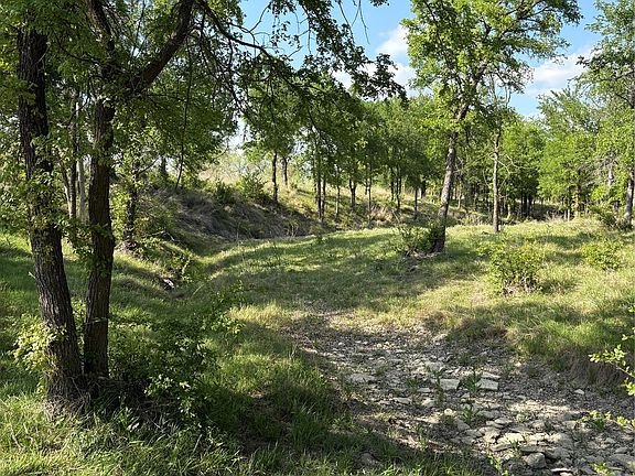4th image of Whitetail Springs Ln