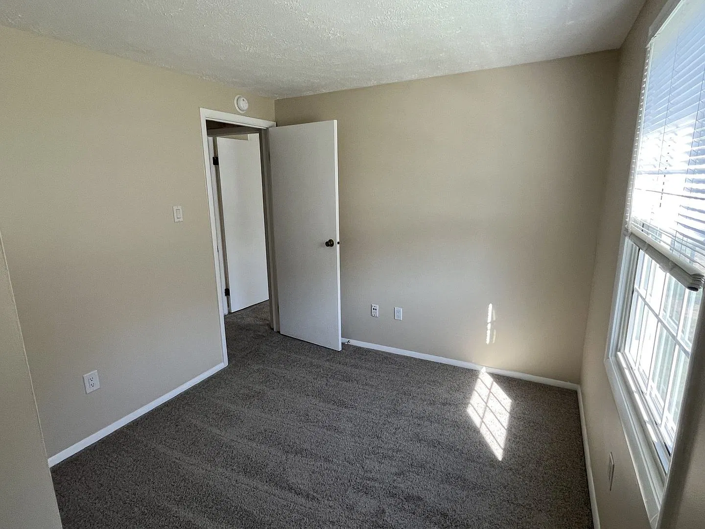 Updated Home In Springfield — Photo 4