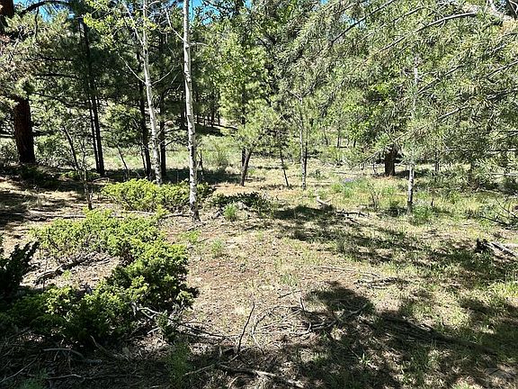 3rd image of 545 Church Creek Dr
