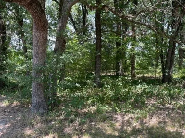 Meadow Lake Dr, Mabank, TX 75156