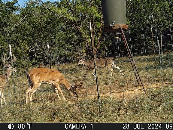 2nd image of Kramer Rd