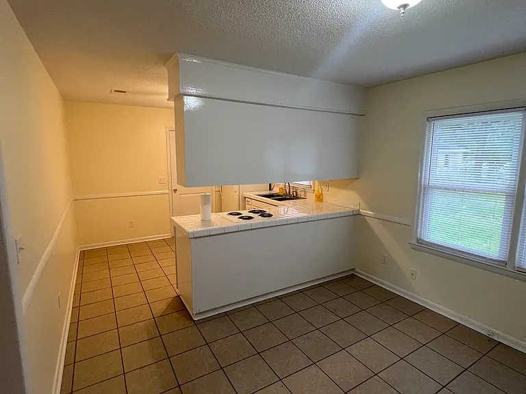 918 Spring Branch Rd — Photo 7