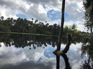 1243 Gee Whiz Dr, Osteen, FL 32764