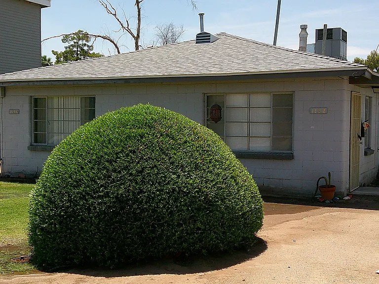 1132 S Roosevelt St #1 — Photo 19