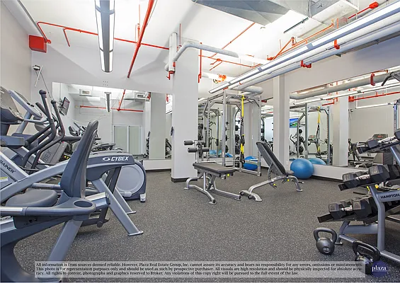 Rented by Plaza Real Estate Group | media 18