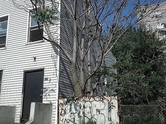 4th image of 227 Franklin Ave