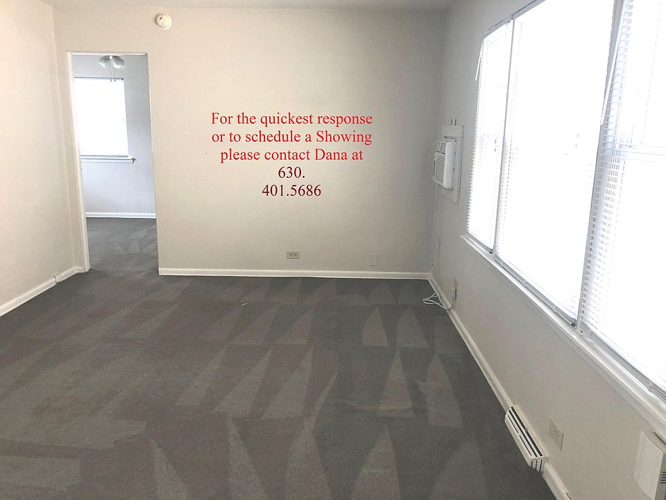 Large Carpeted Living Room - Lots of Natural Light