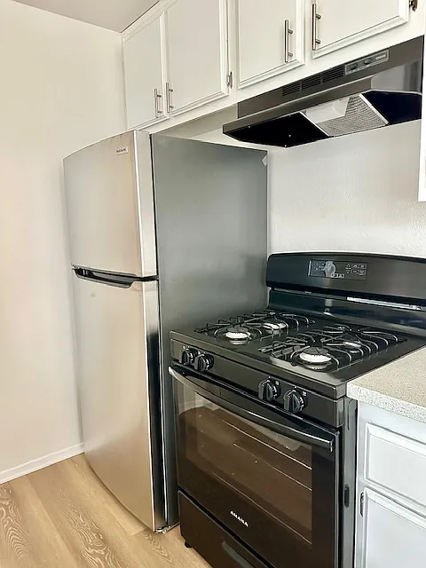 2 bed, 700 sqft, $2,450 — Photo 4