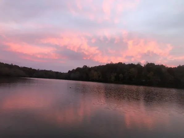 48 Snap Bean Ln, Cedar Grove, TN 38321