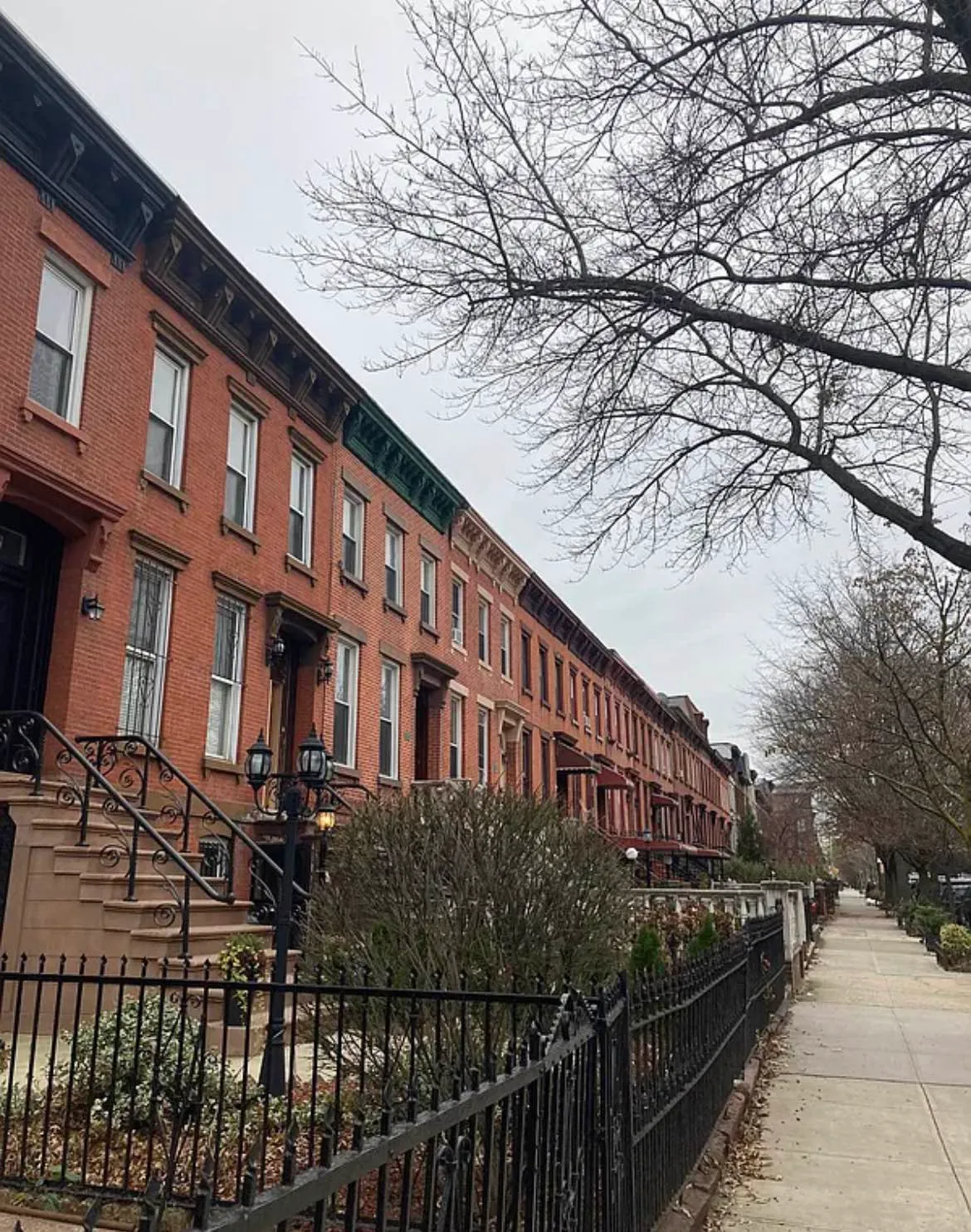 646 Monroe Street #1A in Stuyvesant Heights, Brooklyn | StreetEasy
