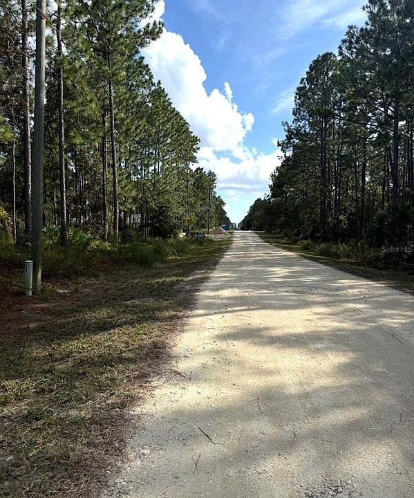 2nd image of 16154 MALDEN ROAD LOT 8