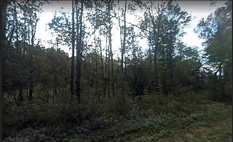 2nd image of North Rd