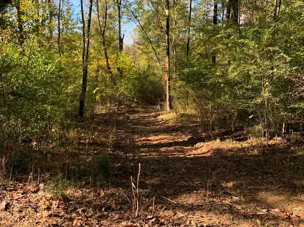 0 Highway 641n, Paris, TN 38242