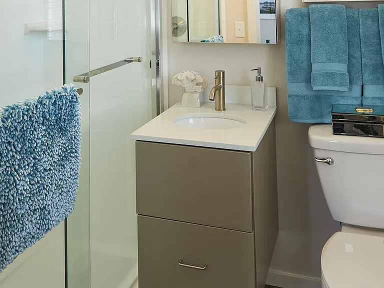 Largest studio bathroom with walk in shower