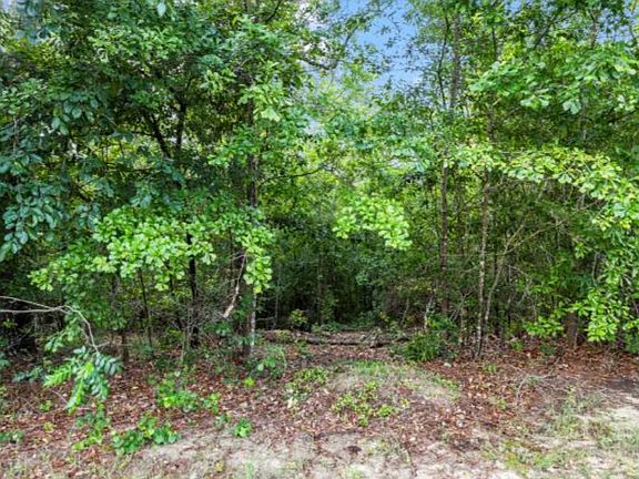 5th image of Lot S-17 Scarborough Pass