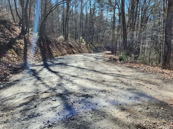 286 Dynasty Dr, Whittier, NC 28789