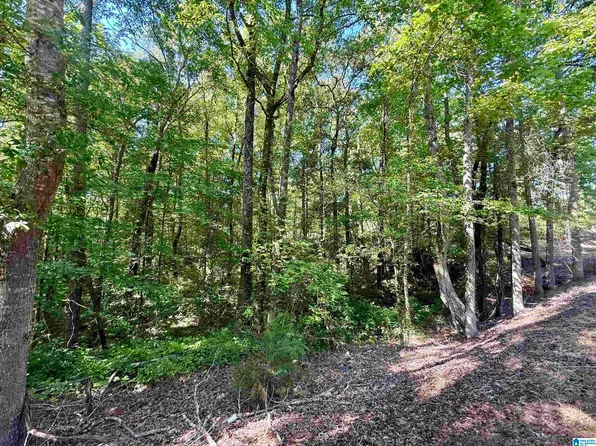0 Settlement Rd #0, Sylacauga, AL 35150
