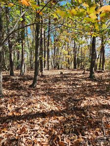 0 Mountain Lookout Dr #35, Bostic, NC, 28018
