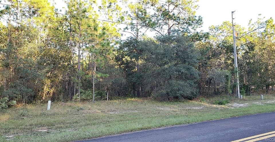 1st image of 92 Corkwood Blvd