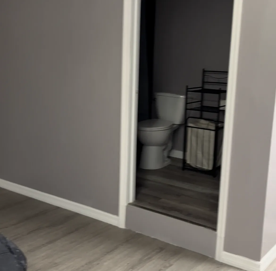 1 bed, 400 sqft, $800 — Photo 4