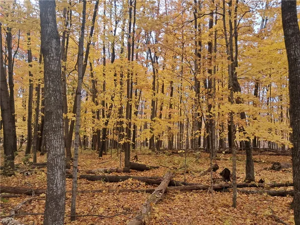 Lot 4 310th Avenue, Frederic, WI 54837