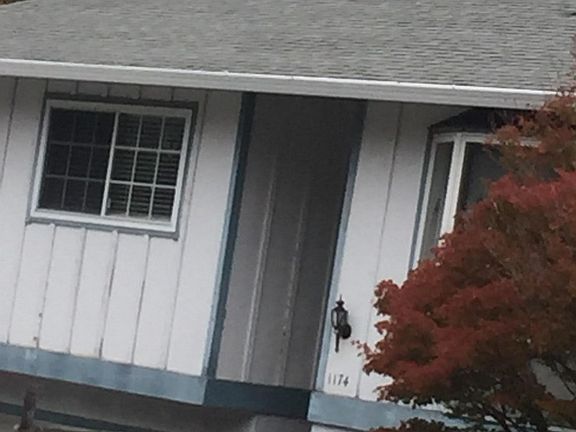 2nd image of 1174 Sheila Ln
