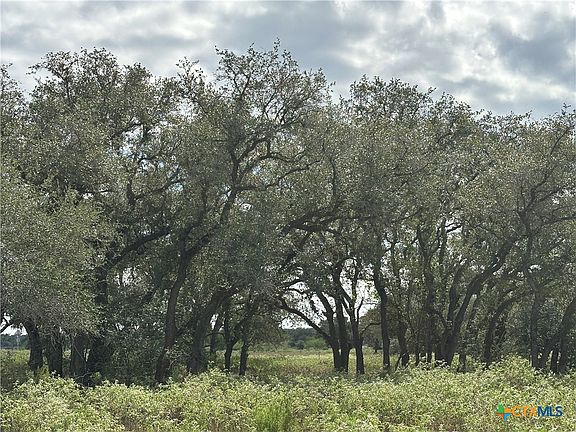 2nd image of TRACT 1 Regan Rd